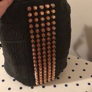 Alexander Wang Bag